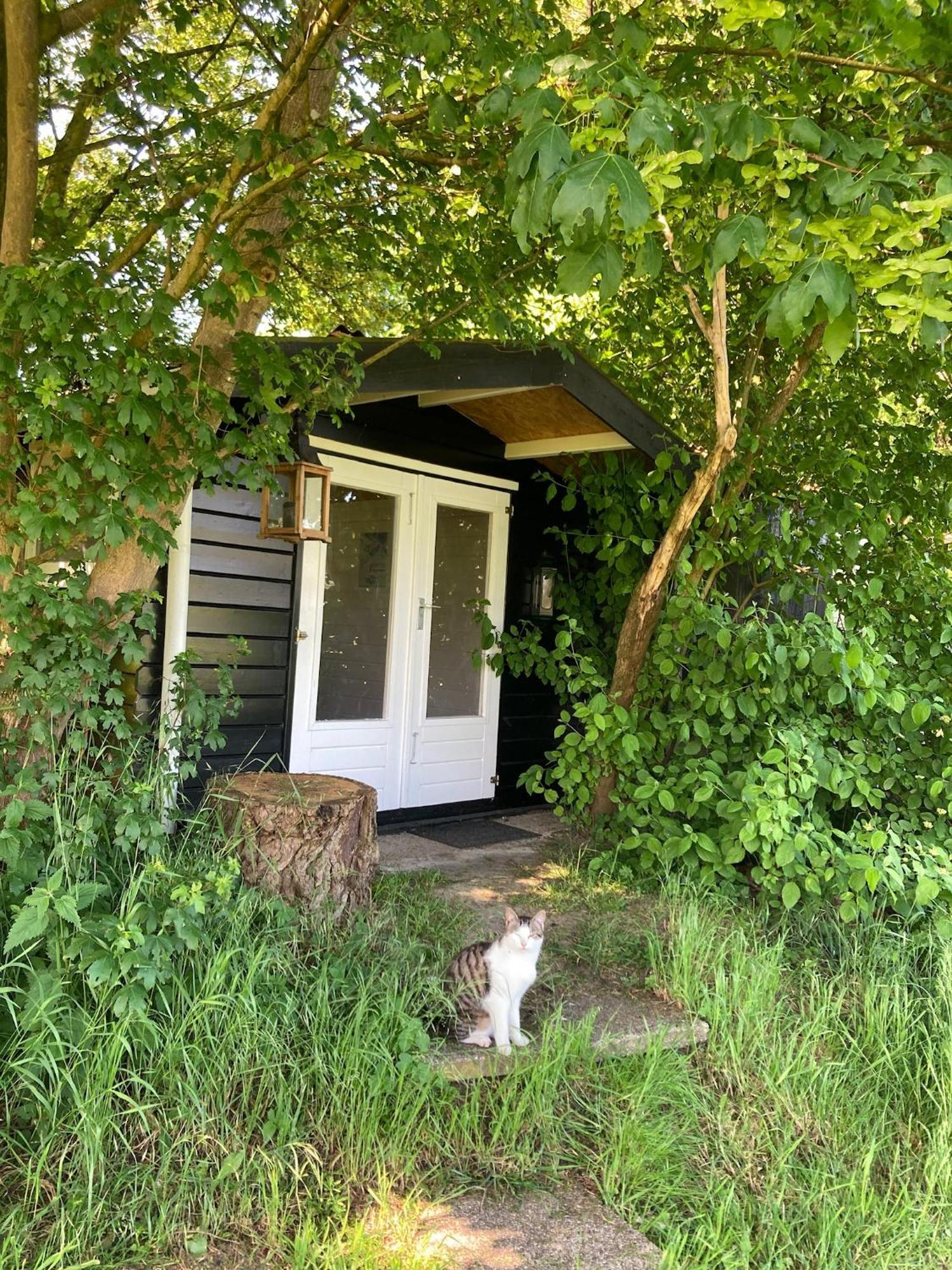 Hoeve De Snippert Грунло Экстерьер фото